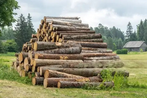 Grumes Châtaignier- 60 stères